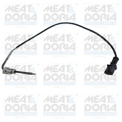 Sensor, exhaust gas temperature